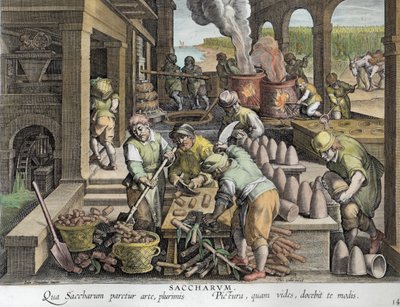 A Sugar Mill and the Production of Sugar Loaves, plate 14 from 